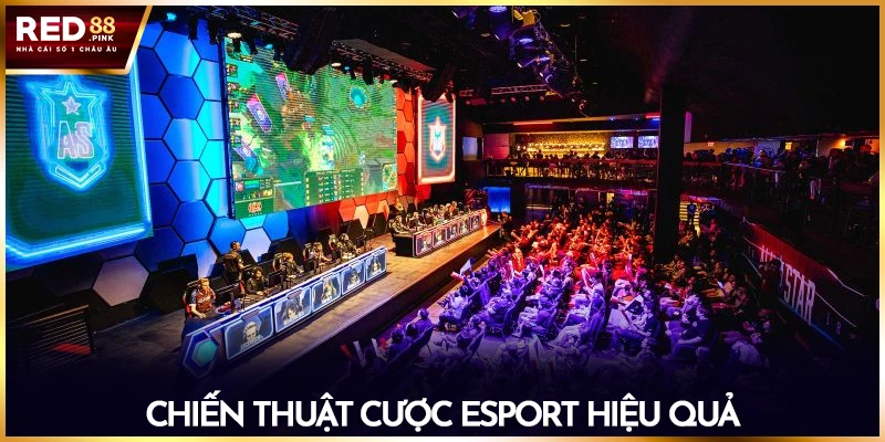 Chiến thuật cược Esport hiệu quả