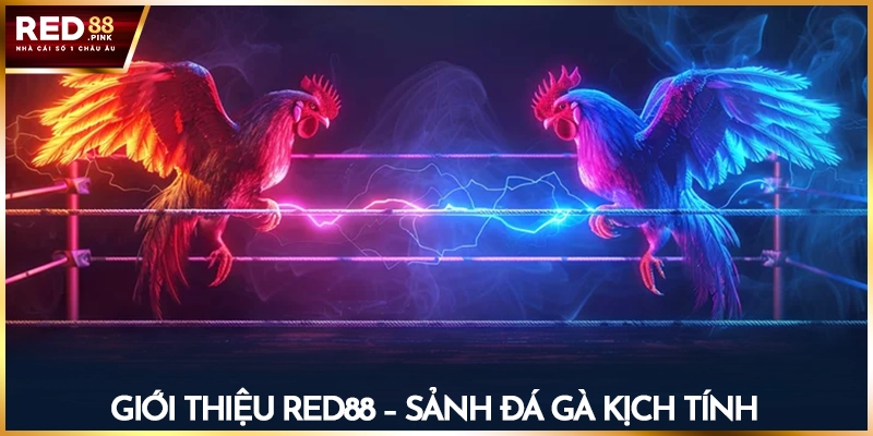Giới thiệu Red88 - Sảnh đá gà kịch tính